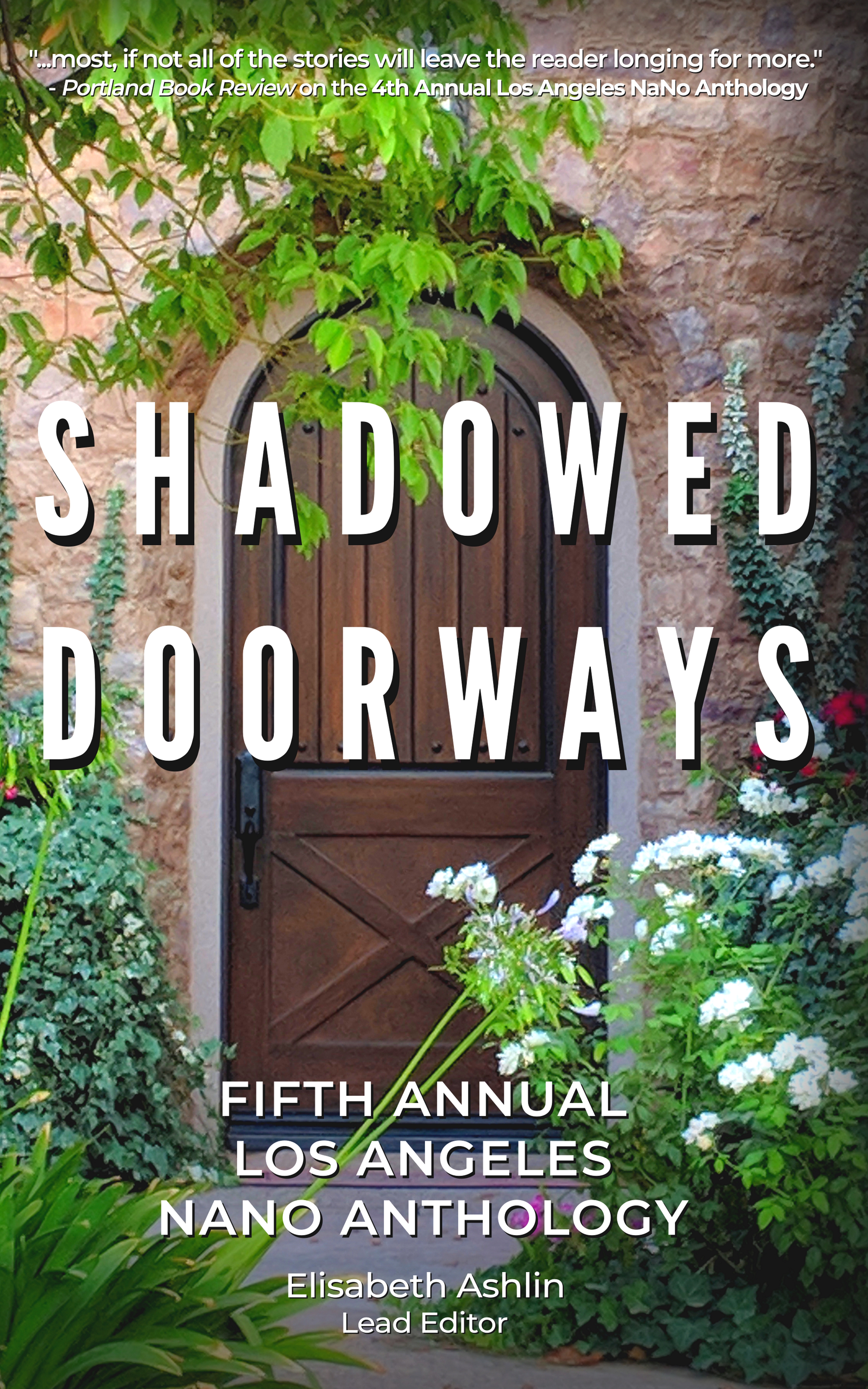 Shadowed Doorways eBook Cover 1.jpg